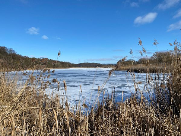 Brandenburg mit Berlin