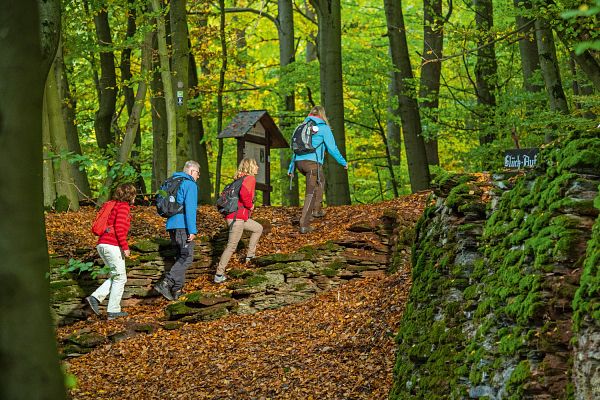 Kneipp WanderWeg Olsberg
