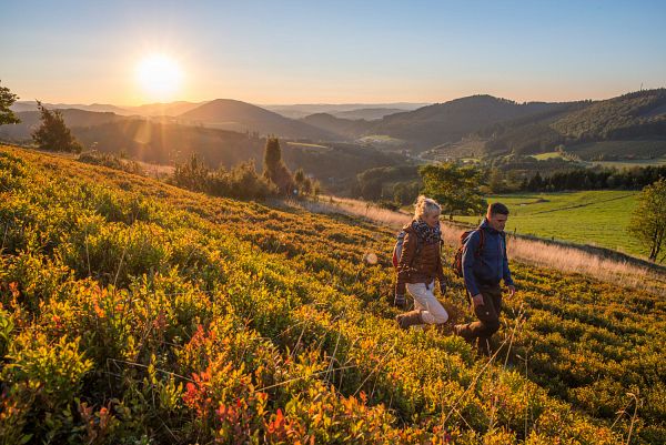 Westfelder Antoniussteig