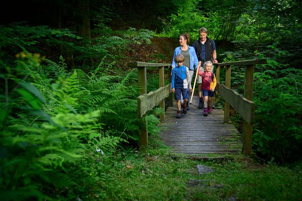 Bödefelder Hollenpfad