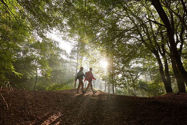 Niedersachsen mit Hamburg