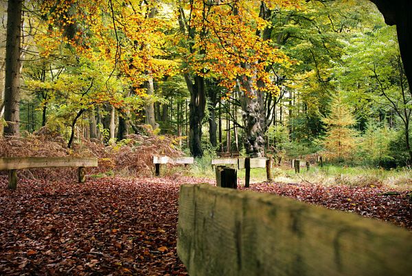 Niedersachsen mit Hamburg