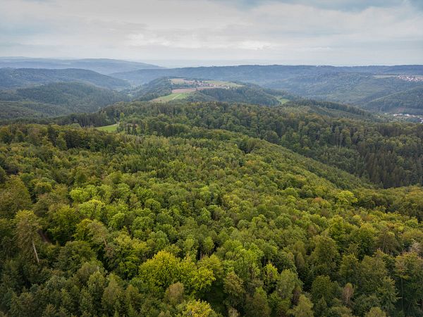 FeenSpuren im Schwäbischen Wald